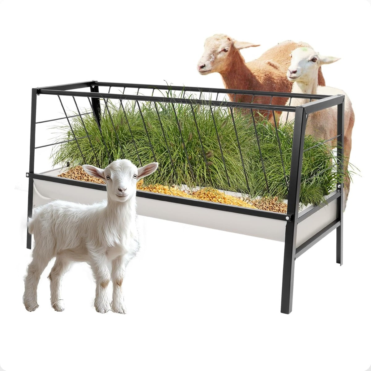 Pasture Hay Feeder 2 in 1 55 Gallon Livestock Feed Trough with 22