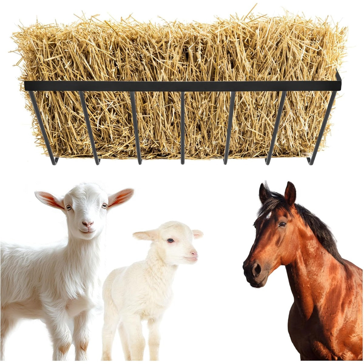 KUAFU Hay Feeder Goat Wall Mount Sheep Hay Rack Horses Feeding Trough Gallo
