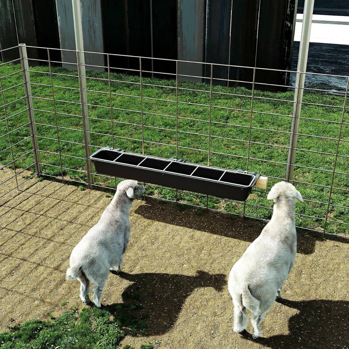37.63In Goat Feeder, 2.5 Gallon Livestock Feeding Rack, Divided and