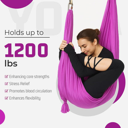 HECASA Aerial Silks Yoga Swing Set, Aerial Yoga Hammock w/Daisy Chain for Home, Inversion Exercises, Strength Training and Starter Kit