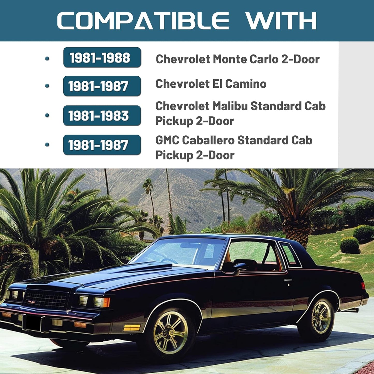 Dash Cover Compatible with 1981-1988 Chevrolet Monte Carlo El Camino Malibu GMC Caballero Dashboard Plastic Black LYAP-068S