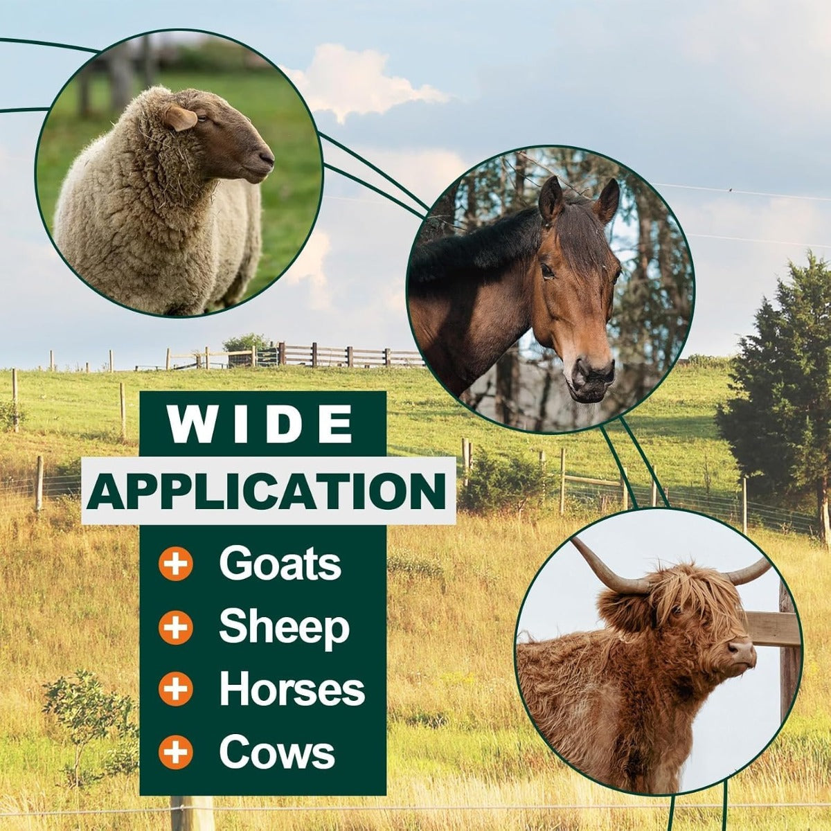 KUAFU Hay Feeder 2 in 1 Hay Rack Wall Mount Goat Feeders,Heavy Duty