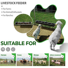 37.63In Goat Feeder, 2.5 Gallon Livestock Feeding Rack, Divided and